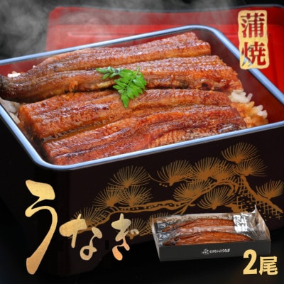 《2尾入》うなぎ蒲焼　化粧箱入り　地元老舗うなぎ加工会社より真空でお届け!