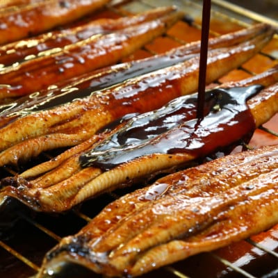 《2尾入》うなぎ蒲焼　化粧箱入り　地元老舗うなぎ加工会社より真空でお届け!