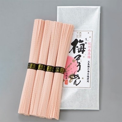 手延べ素麺　紀州梅・八女茶セット
