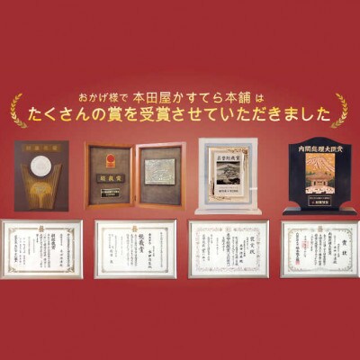 第23回全国菓子博『内閣総理大臣賞』特製長崎カステラ1斤+半斤(約1kg)