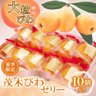 茂木びわゼリー　10個入り
