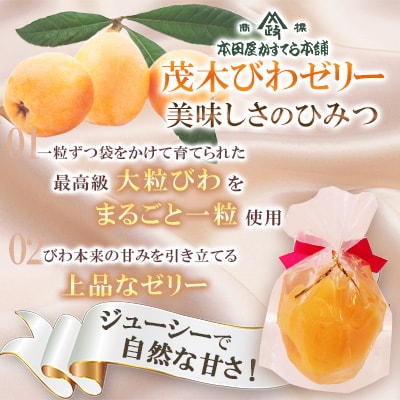 茂木びわゼリー　10個入り