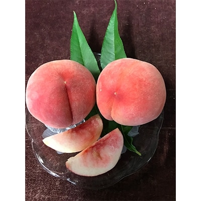 初夏のフルーツ　桃　約2kg