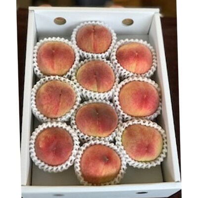 初夏のフルーツ　桃　約2kg