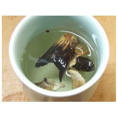 【長崎県産】活トラフグ フグ刺し Wセット(10～12人前)