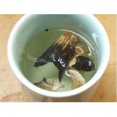 【南島原産】天然トラフグフグ刺し(15～18人前)【数量限定・3月末～4月発送】