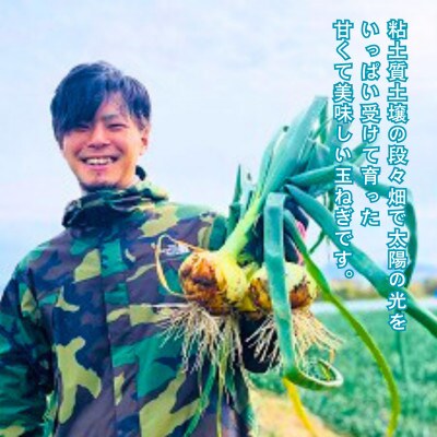 【甘くてジューシー 新たまねぎ 】 約5kg