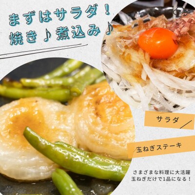 【甘くてジューシー 新たまねぎ 】 約5kg