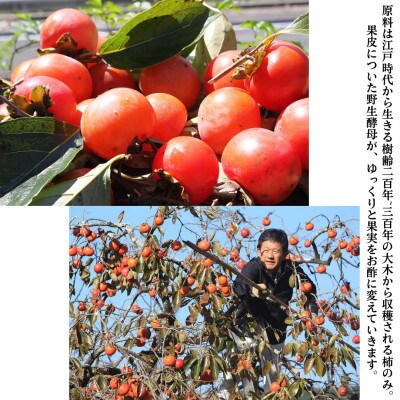 中邨の天然酵母柿酢　200ml×3本セット