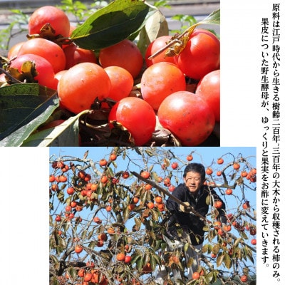 野生酵母 柿酢 200ml×2本 (6年熟成品)