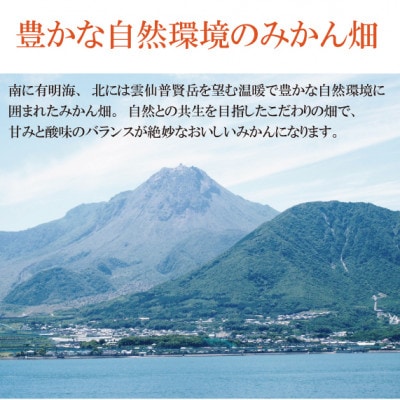 出荷時に一番旬なみかんを出荷します!みかん3kg 南柑・青島