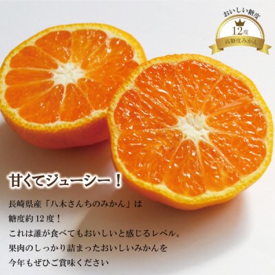 出荷時に一番旬なみかんを出荷します!みかん3kg 南柑・青島
