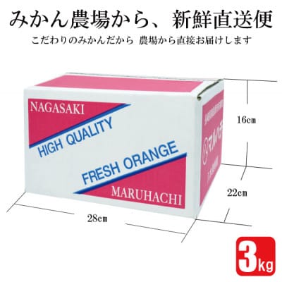 出荷時に一番旬なみかんを出荷します!みかん3kg 南柑・青島