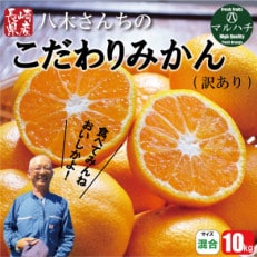 出荷時に一番旬なみかんを出荷します!みかん10kg 南柑・青島