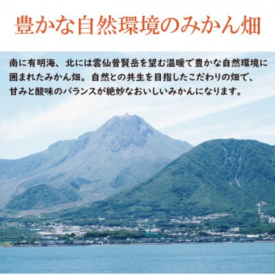 出荷時に一番旬なみかんを出荷します!みかん10kg 南柑・青島