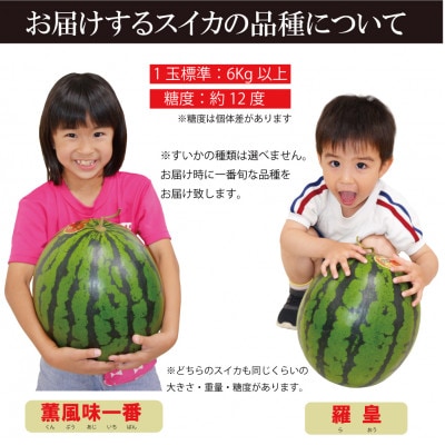 出荷時に一番旬な品種を出荷します!大玉スイカ 「薫風味一番」 「羅皇」 1玉