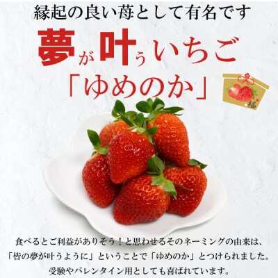 長崎のいちごといえば!「ゆめのか」250g×4パック