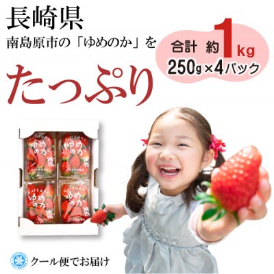 長崎のいちごといえば!「ゆめのか」250g×4パック