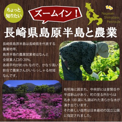 旬な野菜を出荷します!おまかせ新鮮野菜15種類セット