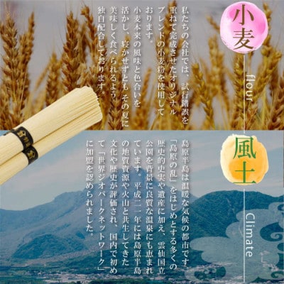 島原手延べ素麺 160束 8kg 麺匠特製