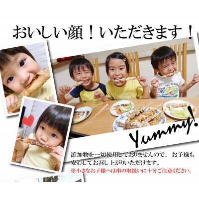 旨味凝縮!満足セット 国産  串焼きセット 豚バラ 30本