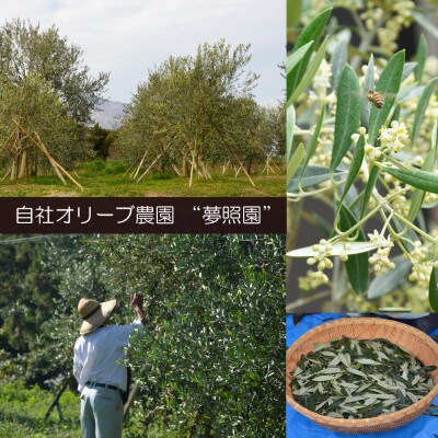 南島原産オリーブ茶 計60g