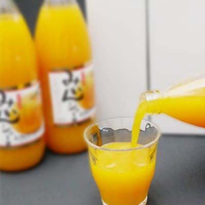 もぎたてみかんを絞ったストレートみかんジュース1000ml×3本