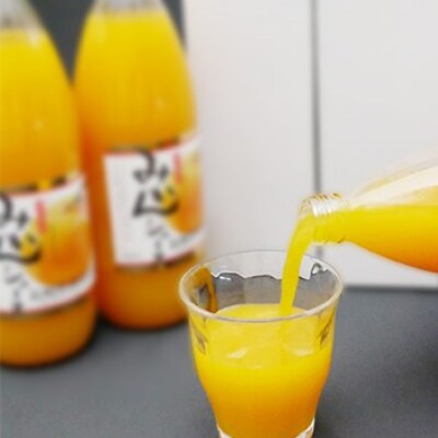 もぎたてみかんを絞ったストレートみかんジュース1000ml×2本