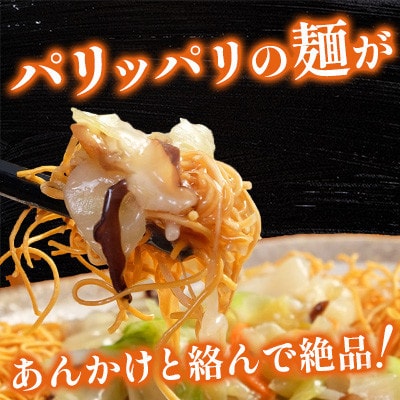【毎月定期便】冷凍 長崎皿うどん 8食 具入り(南島原市)全6回