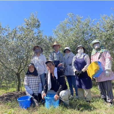 世界遺産の街 南島原市の太陽をさんさんと浴びた 「原城オリーブ」1本