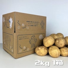 【贈り物にもオススメ】いいだ農園の新じゃがいも2kg