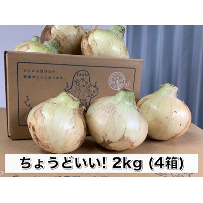 【ちょうどいい2kg!】いいだ農園の新たまねぎ ×4箱セット