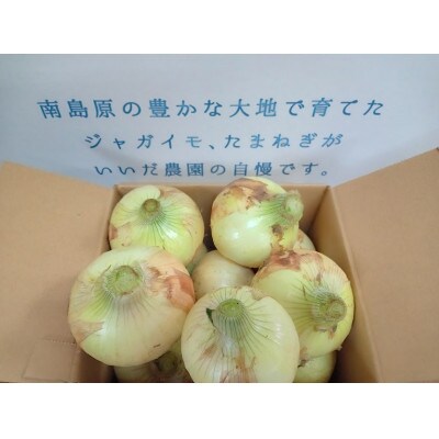 【ちょうどいい2kg!】いいだ農園の新たまねぎ ×4箱セット