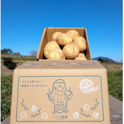 長崎県産　春じゃがいも(2kg×4箱)