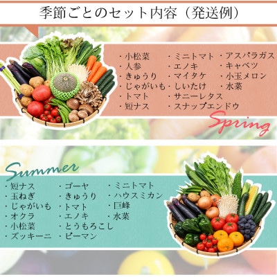 15品目以上!野菜のプロが厳選した 豪華!野菜セット 旬の野菜・フルーツ・キノコを15～16品目