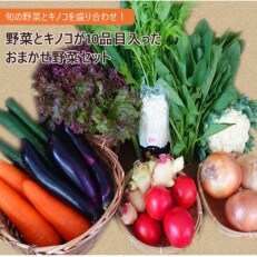 野菜とキノコが10品目入ったおまかせ野菜セット 旬の野菜とキノコを盛り合わせ!