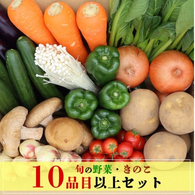 野菜とキノコが10品目入ったおまかせ野菜セット 旬の野菜とキノコを盛り合わせ!