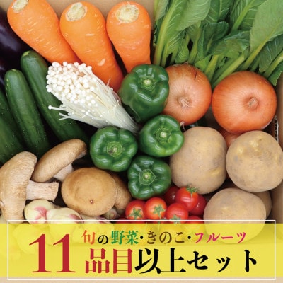 野菜果物セット 野菜(キノコ)・フルーツ 11品目以上 九州 南島原市の旬を詰め合わせ