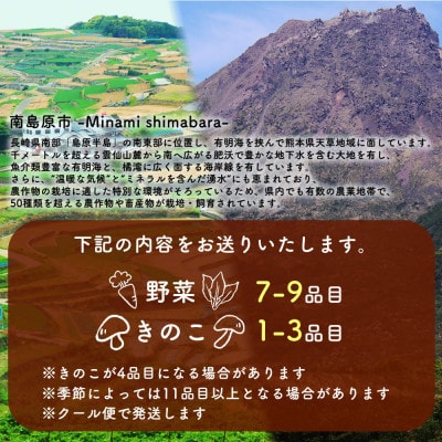 野菜とキノコが10品目入ったおまかせ野菜セット 旬の野菜とキノコを盛り合わせ!