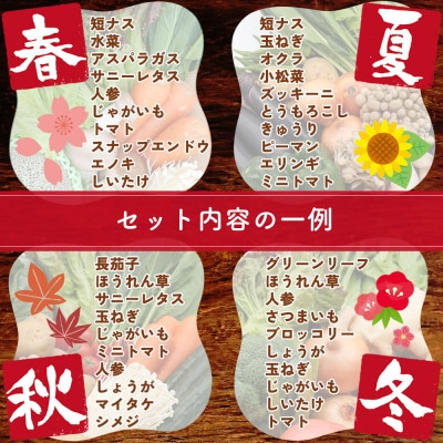 野菜とキノコが10品目入ったおまかせ野菜セット 旬の野菜とキノコを盛り合わせ!