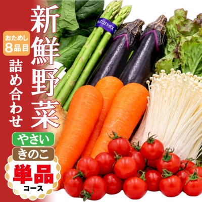 お試し野菜セット 8品目以上 旬のお取り寄せボックス ご家庭用