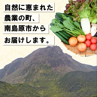 お試し野菜セット 8品目以上 旬のお取り寄せボックス ご家庭用