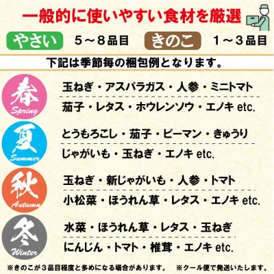 お試し野菜セット 8品目以上 旬のお取り寄せボックス ご家庭用