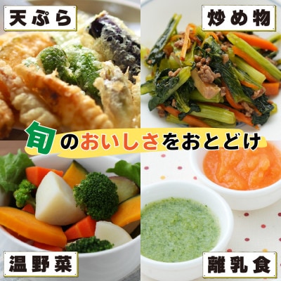 お試し野菜セット 8品目以上 旬のお取り寄せボックス ご家庭用