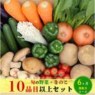 【発送月固定定期便】野菜とキノコが10品目入ったおまかせ野菜セット 偶数月全6回
