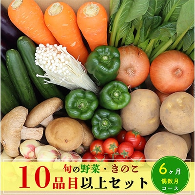 【発送月固定定期便】野菜とキノコが10品目入ったおまかせ野菜セット 偶数月全6回