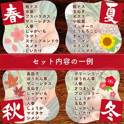 【発送月固定定期便】野菜とキノコが10品目入ったおまかせ野菜セット 偶数月全6回