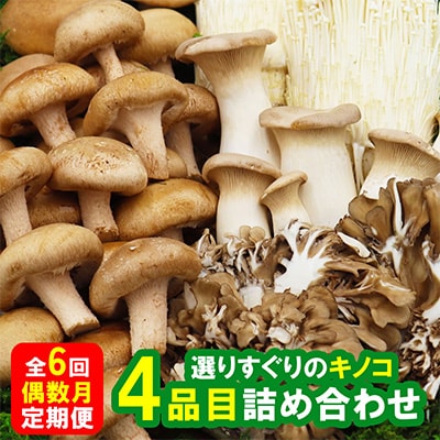 【発送月固定定期便】南島原産 厳選きのこセット 4品目 詰め合わせ 偶数月全6回