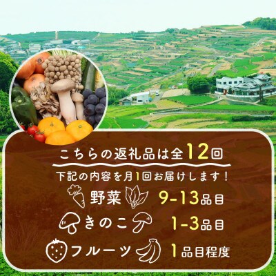 【発送月固定定期便】15品目以上 豪華野菜セット 旬の野菜・フルーツ・キノコを詰め合わせ全12回