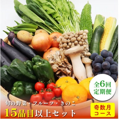 【発送月固定定期便】15品目以上 豪華野菜セット 野菜・フルーツ・キノコを詰合せ 奇数月コース全6回